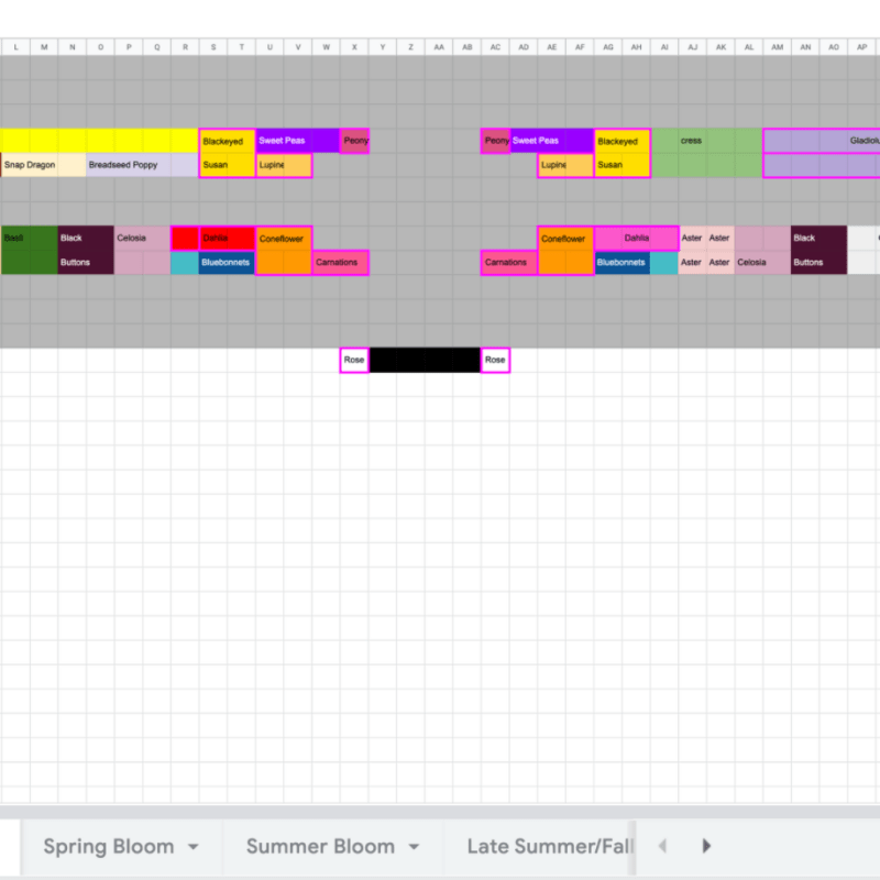 Cut Flower Garden plan: Year&nbsp;1