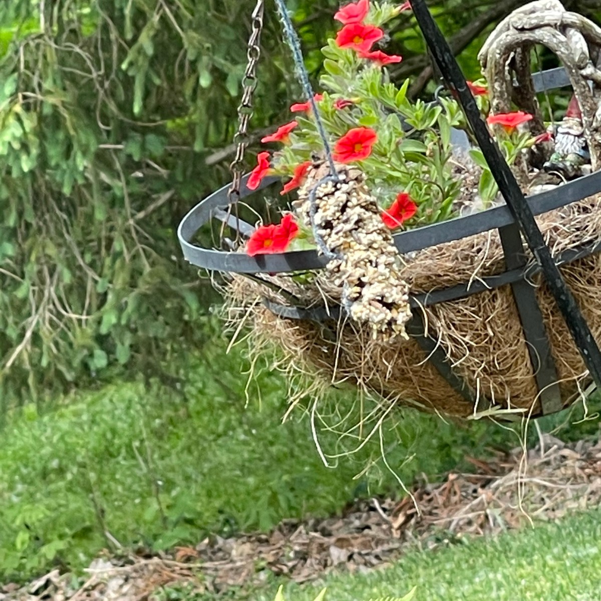 Homemade Bird Feeders